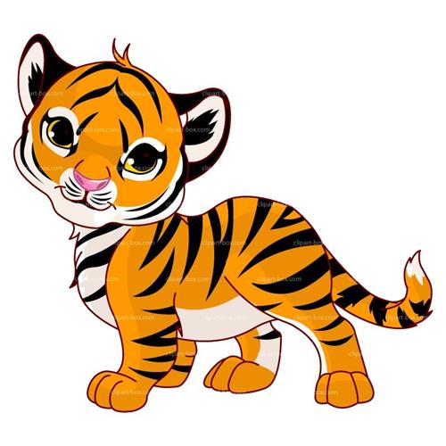baby tiger 